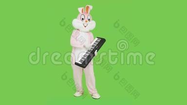 男子穿成人巨型兔兔服装真人套装弹<strong>钢琴</strong>音乐上色度键，绿屏.. <strong>钢琴</strong>演奏